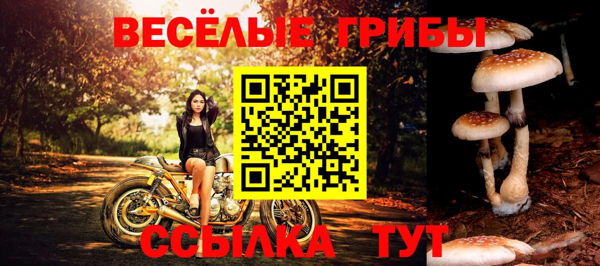 Псилоцибиновые грибы ЛСД  Вход с VPN  Кирово-Чепецк 