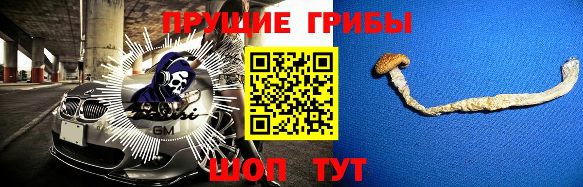 Галлюциногенные грибы Psilocybine cubensis Кирово-Чепецк